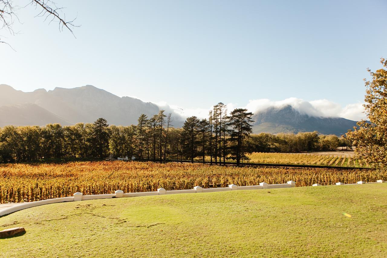 Rickety Bridge Manor House Guest House Franschhoek Exterior photo