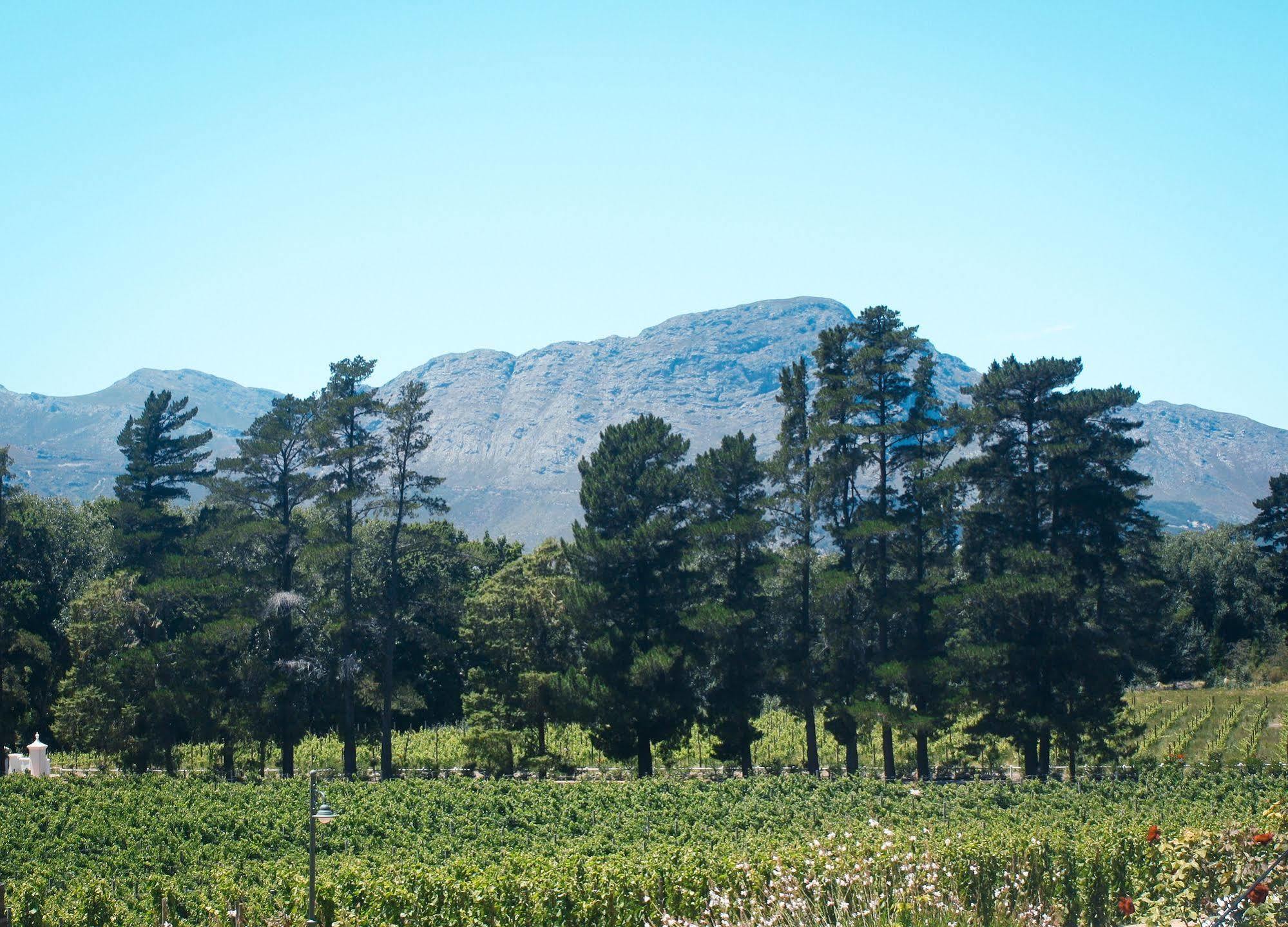 Rickety Bridge Manor House Guest House Franschhoek Exterior photo